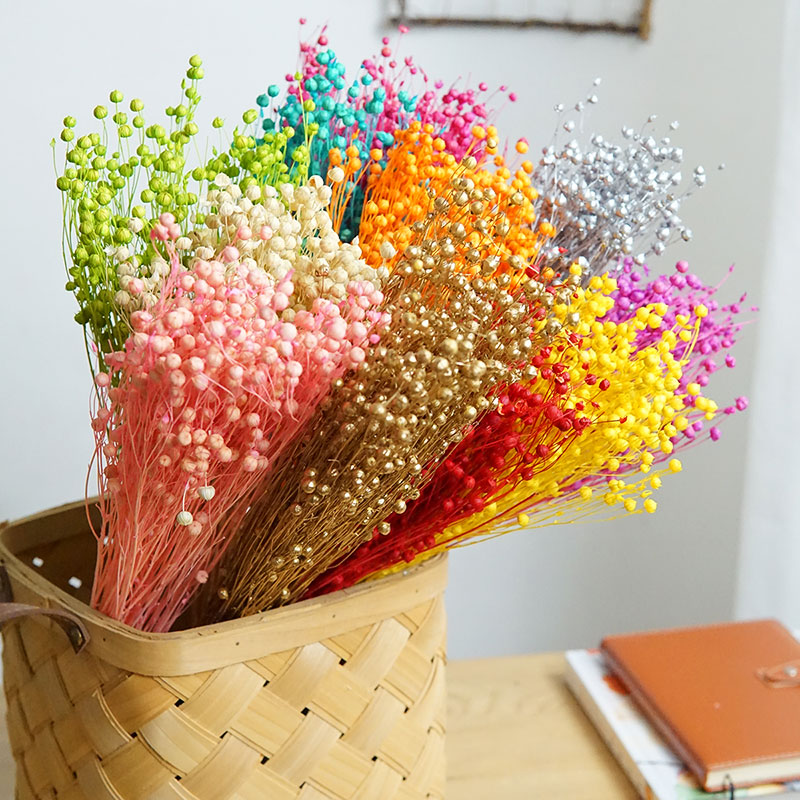Dried Flower Bulk - 35g/Ormosia Hosiei conservada flores reales naturales