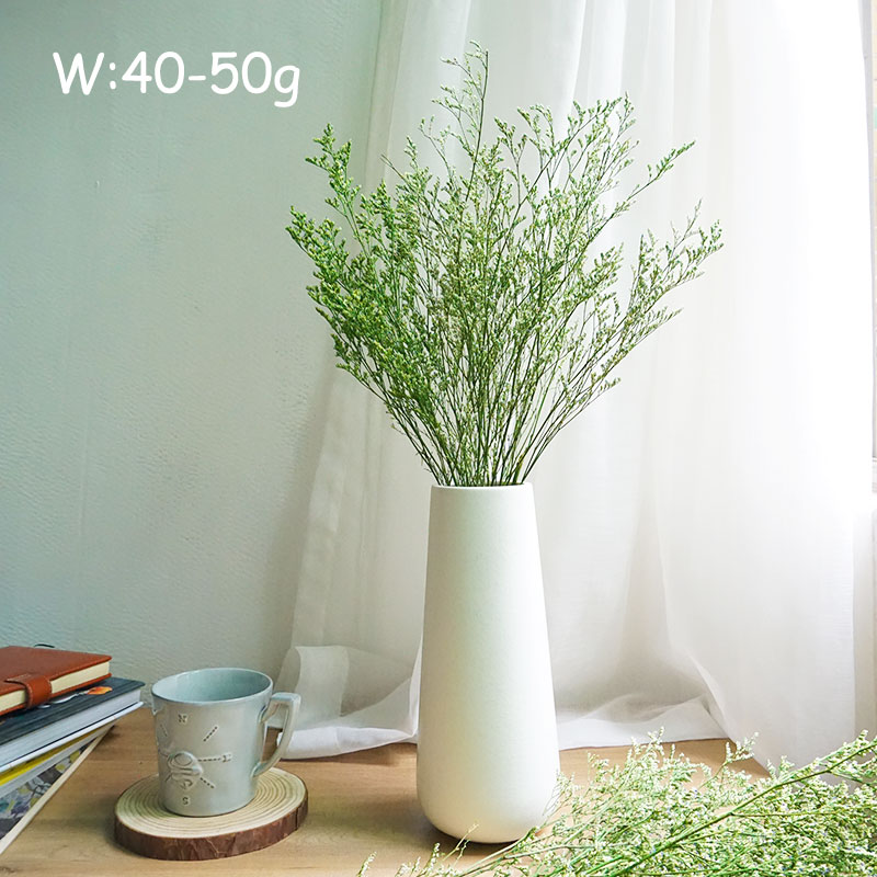 50g/Flor de Limonium Preservad - Dried Flower Bulk reseña y precio
