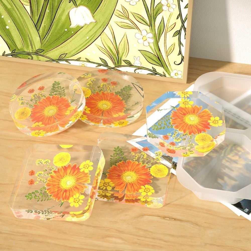 Molde de silicona creativo par - Coaster Mold Round reseña y precio