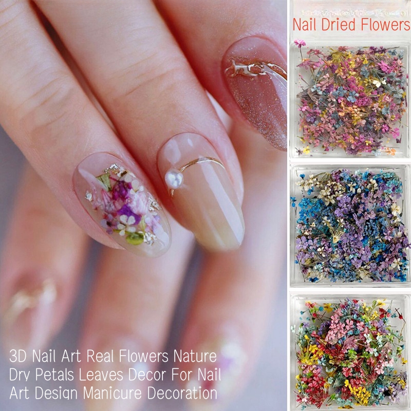 Flores secas pequeñas mixtas p - Dried Flower Bulk reseña y precio